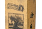 999520_Olio_di_oliva_EVO_5lt_B 