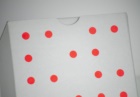 Calligaris-scatola-02 